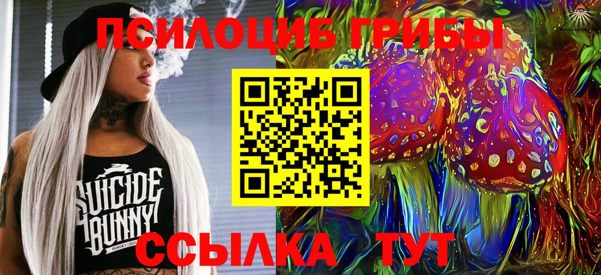 Галлюциногенные грибы GOLDEN TEACHER Новошахтинск